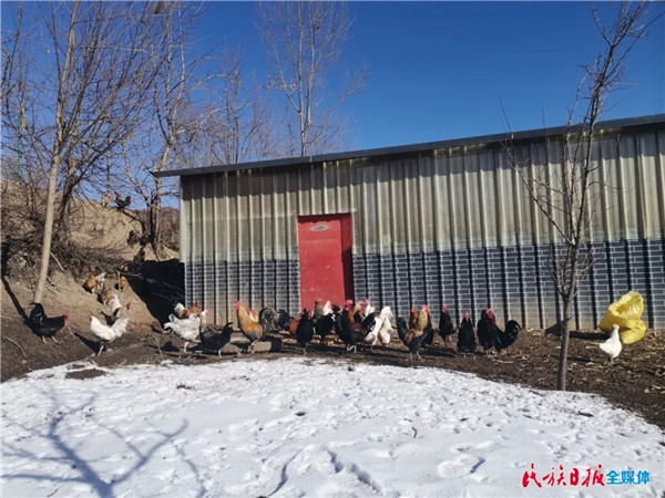 202002071581038123132314.jpg 640.webp (3).jpg