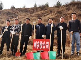 臨夏州凱潤(rùn)農(nóng)牧投資發(fā)展集團(tuán)有限公司參加2021年春季義務(wù)植樹活動(dòng)