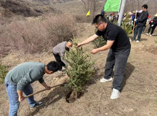 州農(nóng)投公司參加2025年春季義務(wù)植樹活動(dòng)